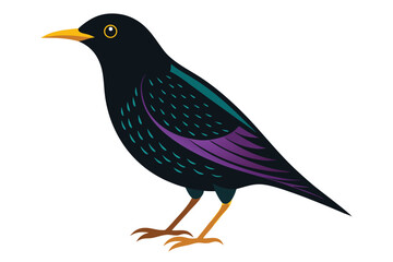 blue bird isolated on white background