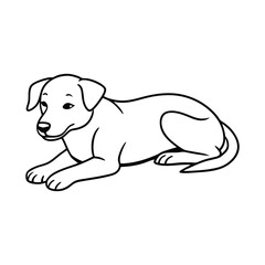 dog lying ground resting vector line silhouette