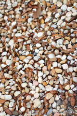 background of white and colorful stones mixed with dry leaves