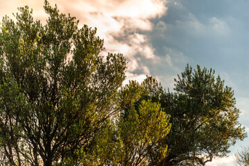 rural countryside landscape during a sunny summer day inside Val d'Agri, Basilicata