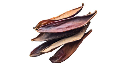 Dried dates on a white background 