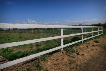 Fototapeta premium Perspective View of Farm Fence in Meadow