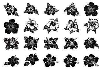Hibiscus flower vector silhouette set , hibiscus icon Set, Tropical hibiscus bloom silhouette
