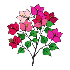  Elegant Bougainvillea Flower Bouquet Illustration