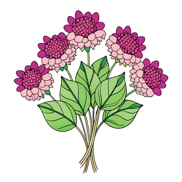 Dahlia clip art preview