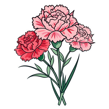 Carnation clip art preview