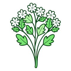  Elegant Cress Flower Bouquet Design