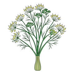 Fototapeta premium Vibrant Fennel Bouquet of Flowers