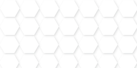 Fototapeta premium White Hexagonal Background. Background with white and black lines 3d Hexagonal structure futuristic white background and Embossed Hexagon ,