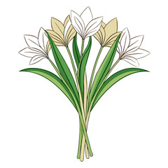  Vivid Grass Lily Bouquet Flowers Illustration