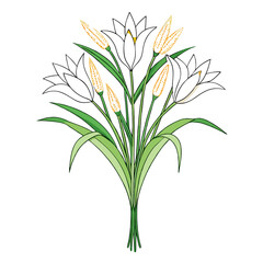  Beautiful Grass Lily Floral Bouquet Art