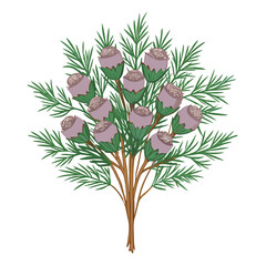 Charming Ground Cedar Bouquet Flowers Design