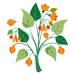  Creative Jewelweed Floral Bouquet Illustration