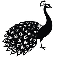Elegant peacock silhouette with luxurious tail feather, peacock silhouette silhouette