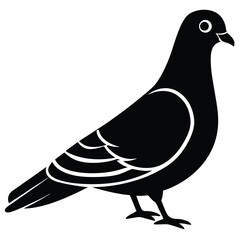Rock Pigeon silhouette vector illustration, Rock Pigeon silhouette vector, Rock Pigeon PNG