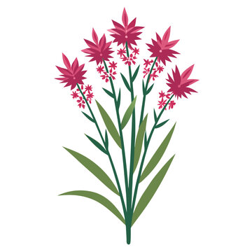 pink flowers green stems white background clip art preview
