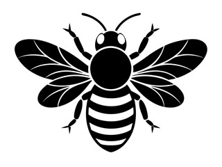 Fototapeta premium Honey Bee Silhouette Vector & SVG, Cute Bee Vector for Nature Crafts
