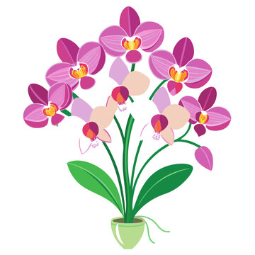 pink orchids in green pot clip art preview