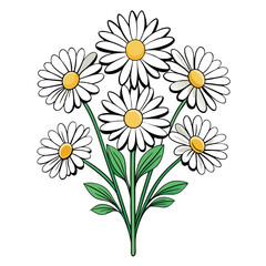 Fototapeta premium Charming Oxeye Daisy Bouquet Illustration
