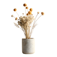dried flowers in a vase