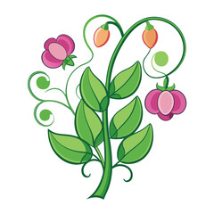  Vivid Pea Blossom Bouquet Illustration