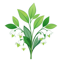  Fresh Floral Arrangement of Solomon's Seal Blooms