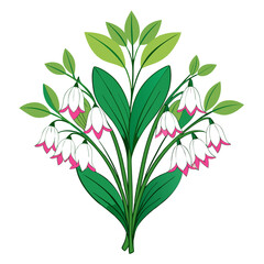  Stylish Solomon's Seal Bouquet Illustration for All