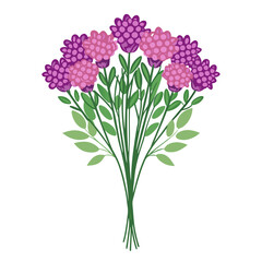  Charming Statice Bouquet with Fresh Colors