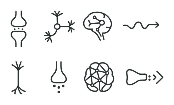 outline vector icons of neural connections: synapse icon, connected neurons, brain with lines, signal path, dendrites, axon terminal, network brain, signal transmission. ine style icons in a modern,
