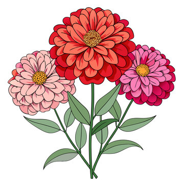 colorful zinnia flowers bouquet on white clip art preview