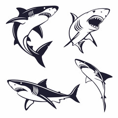 shark vector 