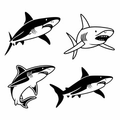 shark vector 
