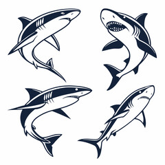 shark vector 