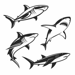 shark vector 