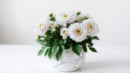Fototapeta premium Elegant Silver Ranunculus in a Marble Pot, Studio Shot