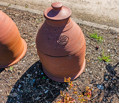 Rhubarb forcer used to cultivate tender rhubarb