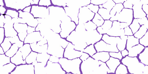 crack concrete white wall or Cement wall background gray concreate surface plaster old rough dirty wall texture, white marble texture, grunge texture.