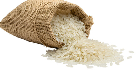 rice in a bag