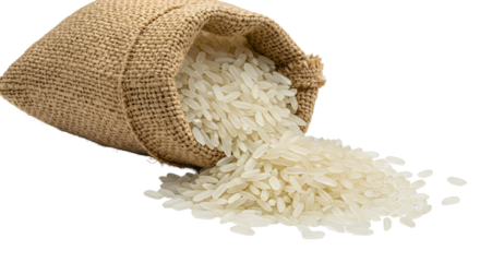 rice in a bag