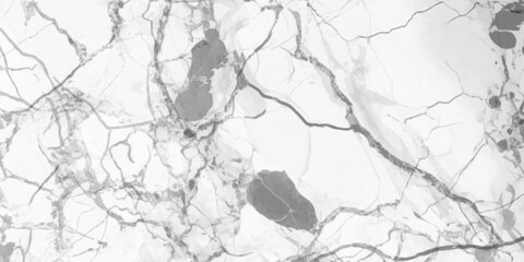 High Resolution Italian Grey Effect Marble Texture Natural White marble texture for skin tile wallpaper luxurious background