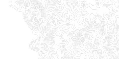 White wave paper curved reliefs abstract background. Lines Topographic contour lines map seamless pattern. Landscape geo topographic map background.