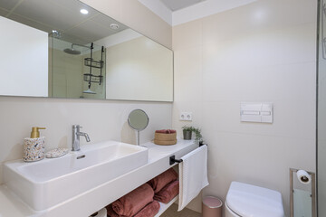 Stylish Guest Bathroom with Natural Tones