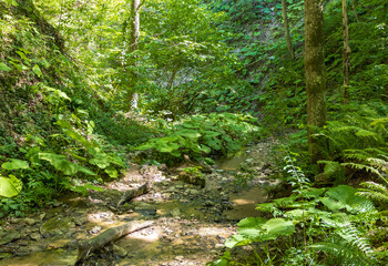 the structure of the bottom and summer walks along the canyon of the mountain river located in the gorge of the mountain range