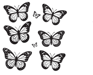 set of vector butterflies. butterfly, insect, nature, vector, set, fly, butterflies, 