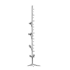 Growth chart measuring plant development in a minimalist style  
