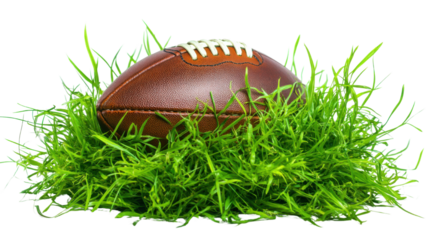 Classic Baseball Resting on Lush Green Grass Isolated on Clean White Background – Sports Equipment Concept for Outdoor Games, Athletic Design, and Baseball-Themed Visuals