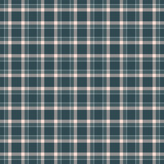 Interior background textile vector, checking pattern fabric seamless. Checkered tartan texture plaid check in dark slate gray and pastel colors.