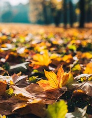 Vivid Autumn Leaves Pile in Colorful Nature Photography Style