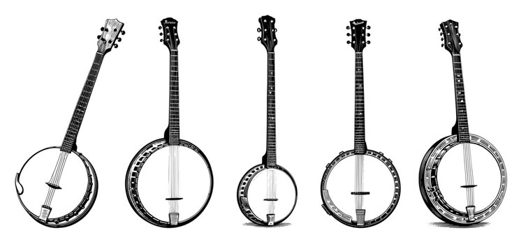 Banjo Instruments in Line Drawing Style, vintage, engraved,ink hand drawn illustration, vector.