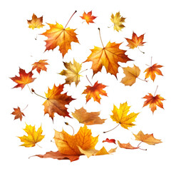 Obraz premium autumn leaves background